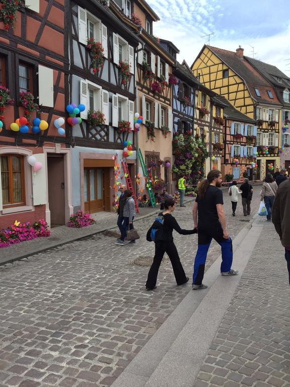 Les Appartements De Home Petite Venise Colmar Ngoại thất bức ảnh
