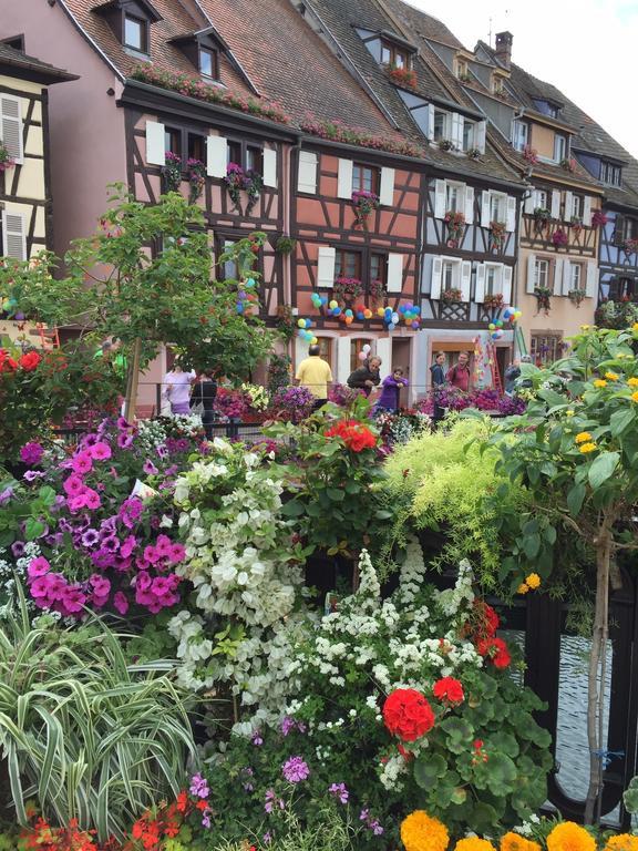 Les Appartements De Home Petite Venise Colmar Ngoại thất bức ảnh