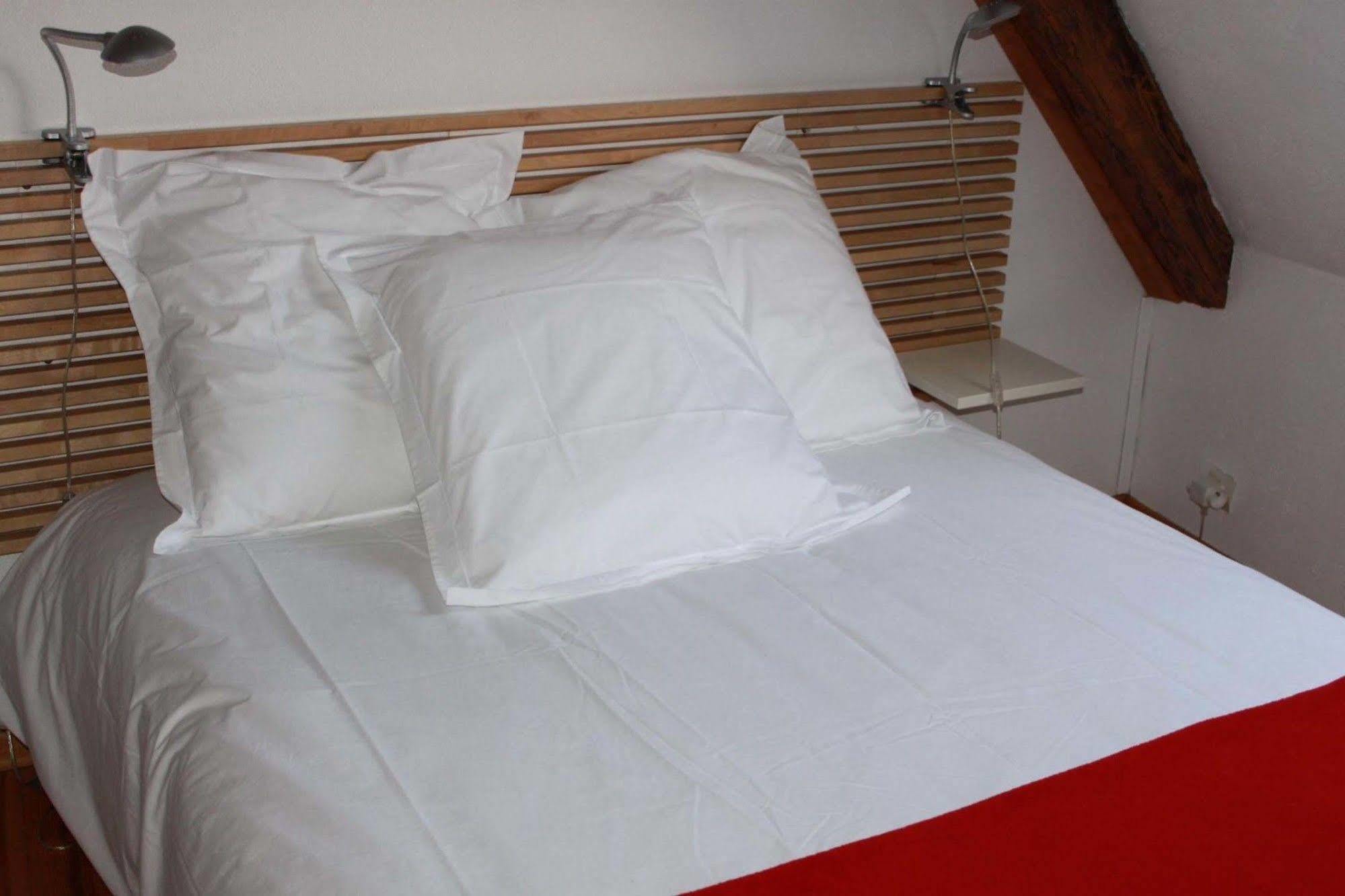 Les Appartements De Home Petite Venise Colmar Ngoại thất bức ảnh