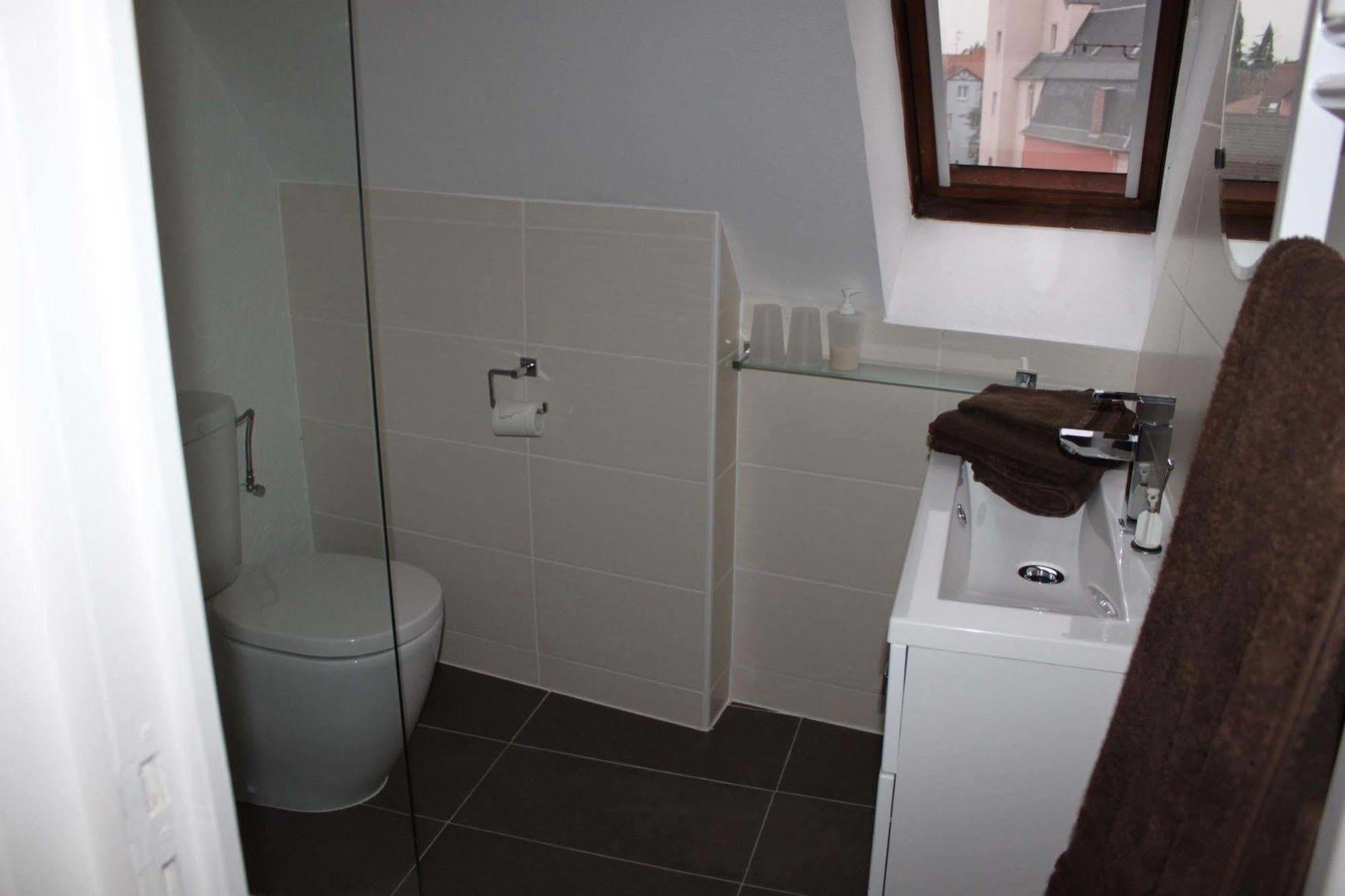 Les Appartements De Home Petite Venise Colmar Ngoại thất bức ảnh