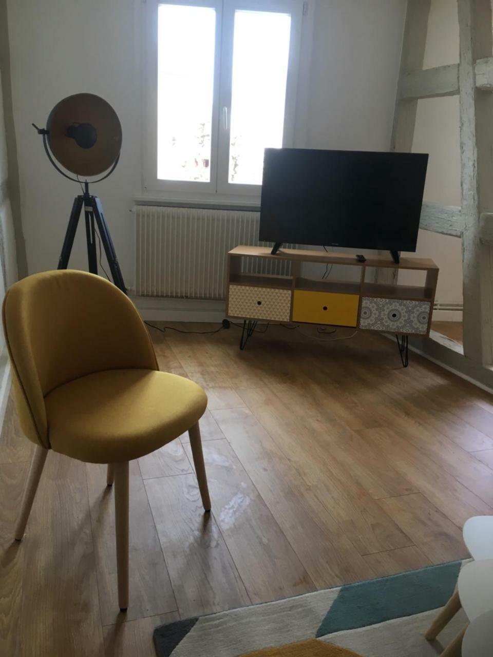 Les Appartements De Home Petite Venise Colmar Ngoại thất bức ảnh