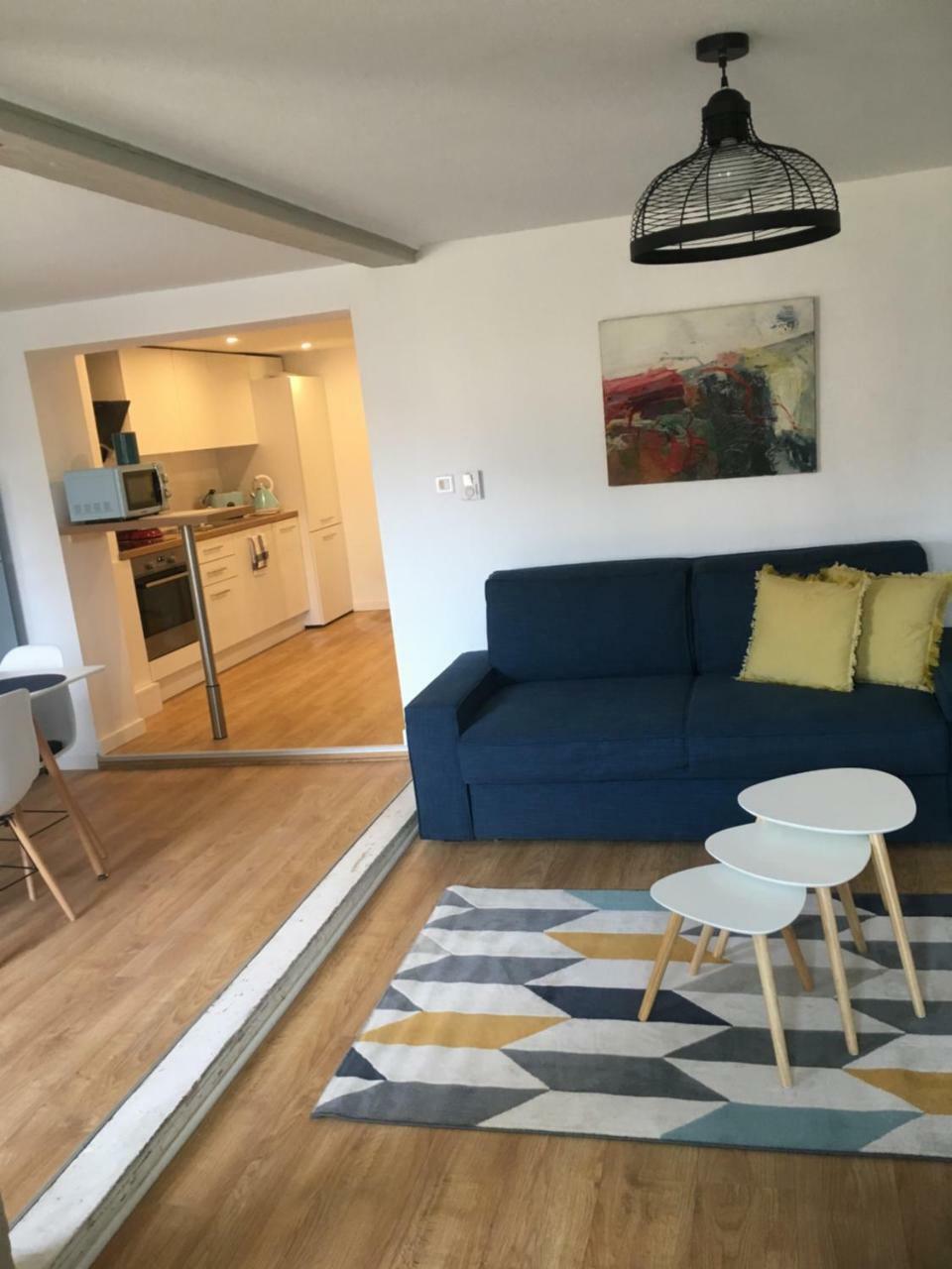 Les Appartements De Home Petite Venise Colmar Ngoại thất bức ảnh