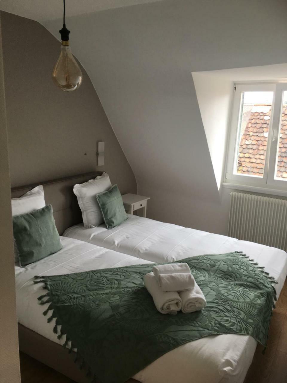 Les Appartements De Home Petite Venise Colmar Ngoại thất bức ảnh